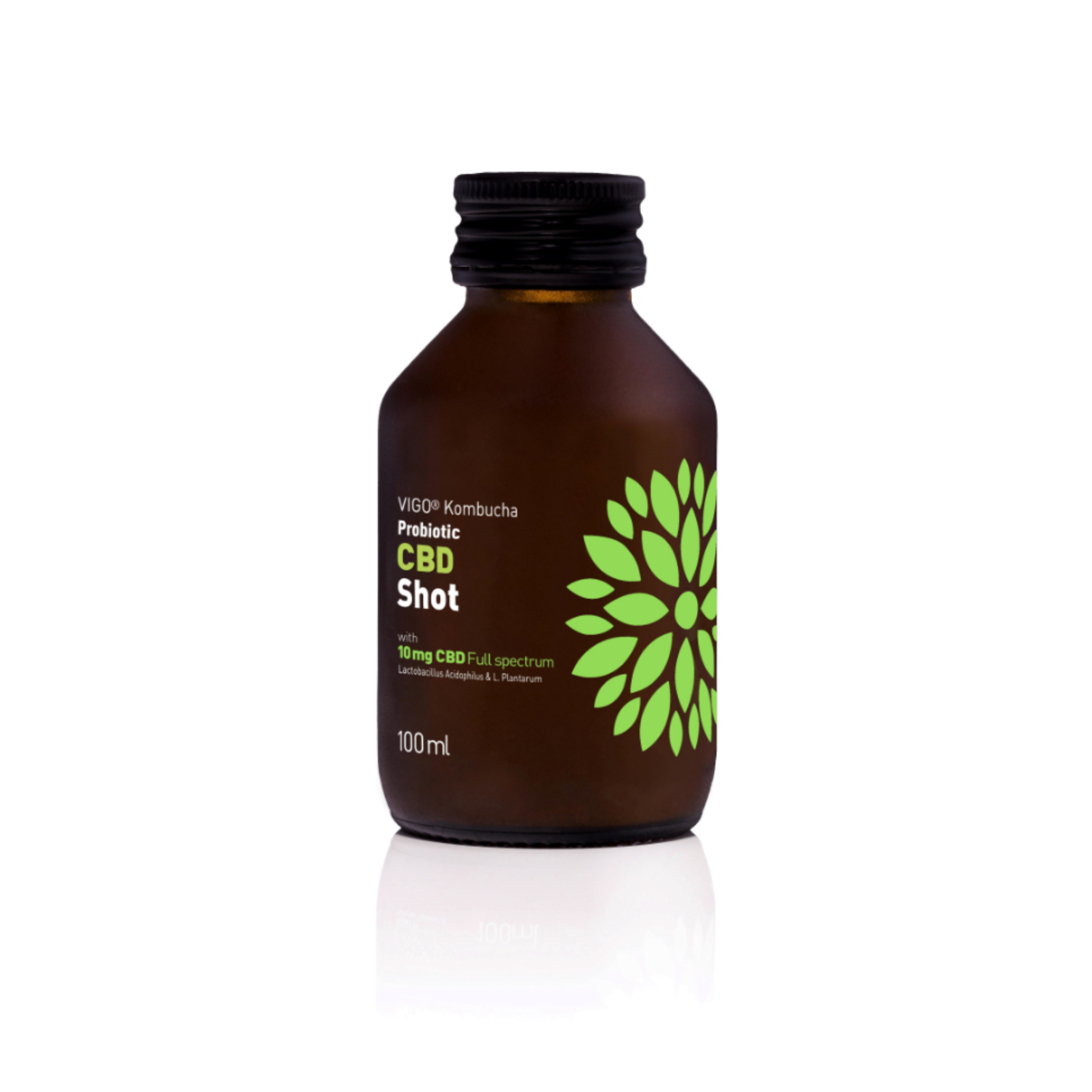 Vigo Kombucha Shots For Gut Health 100 ml