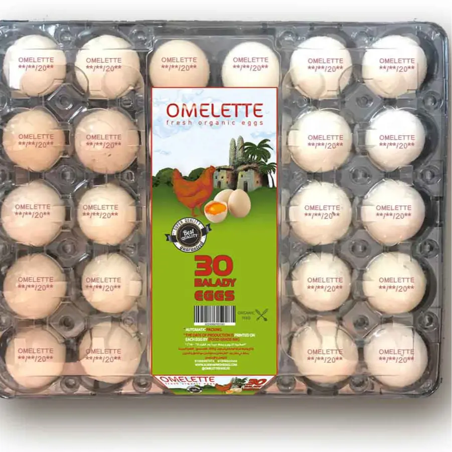 Omelette balady Eggs 30 Eggs