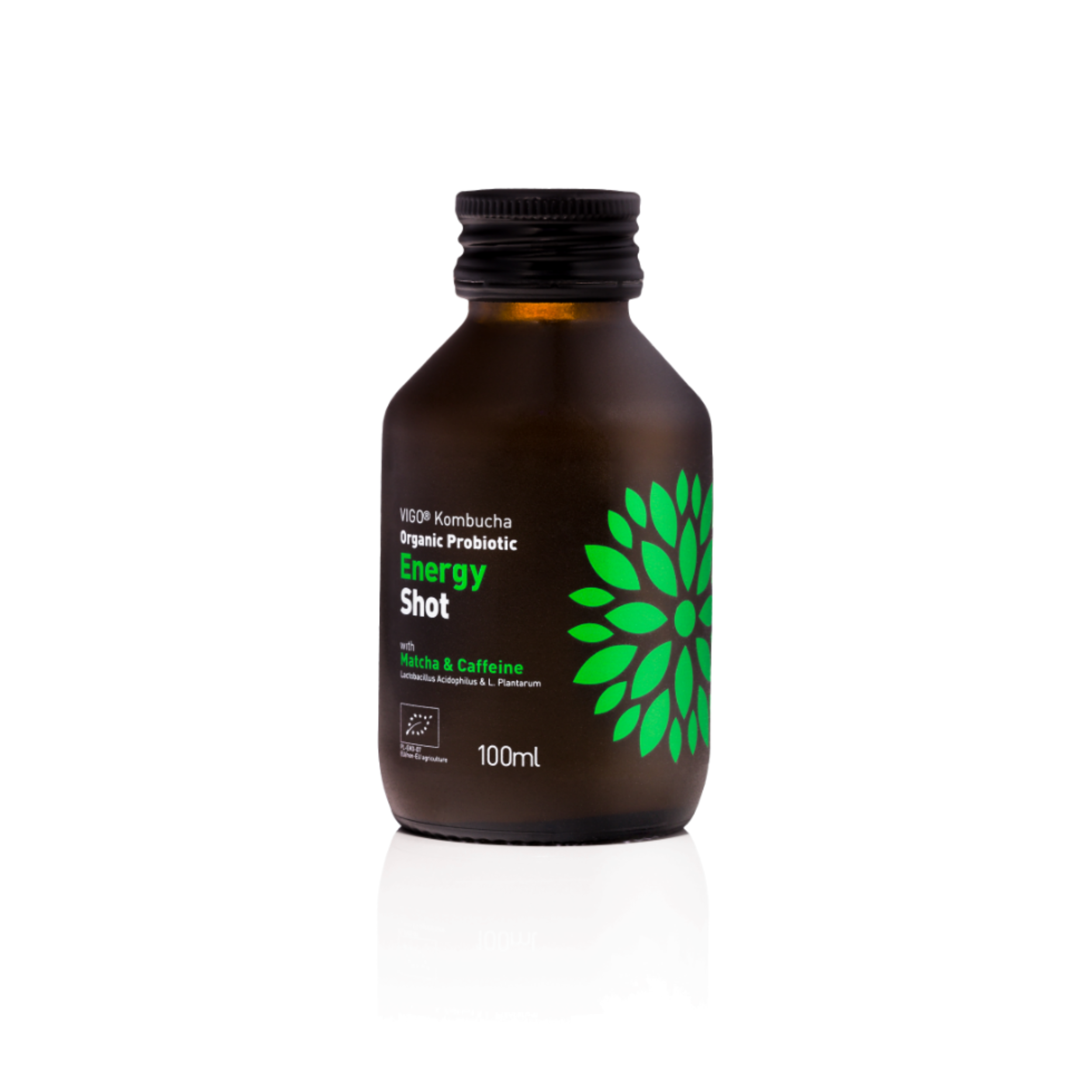 Vigo Kombucha Shots For Gut Health 100 ml