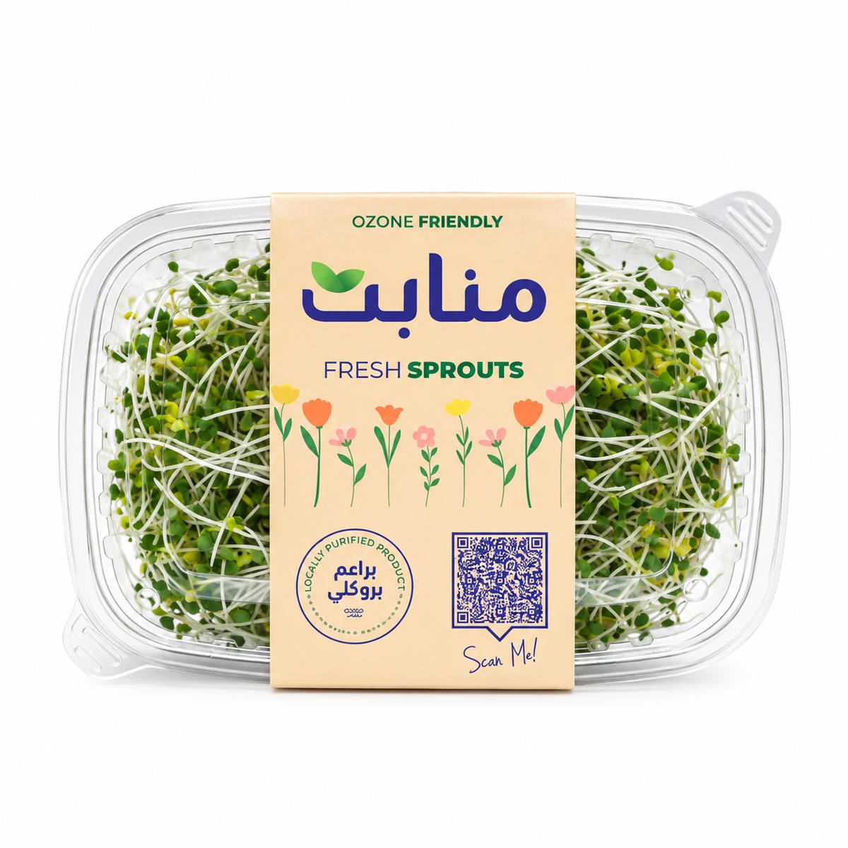 براعم بروكلي منابت