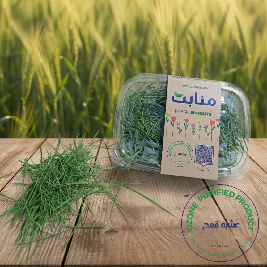 Wheat Sprouts-(100g)
