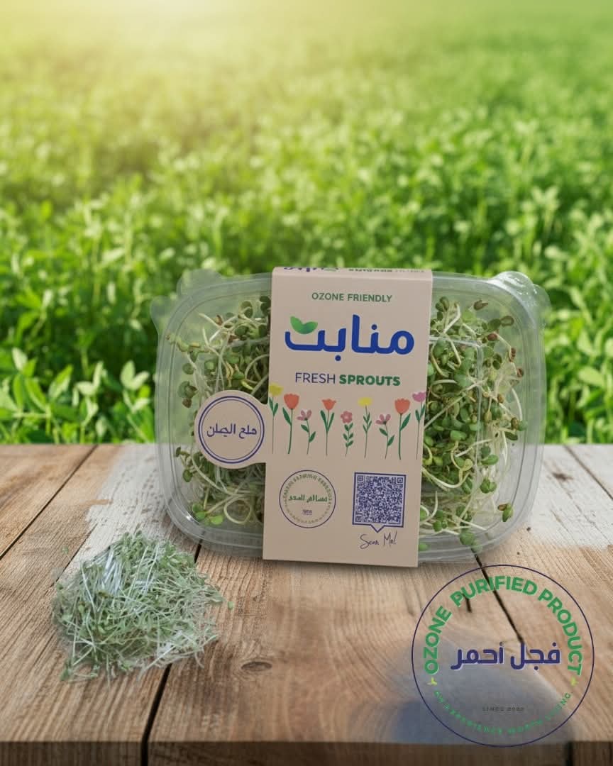 Red Radish Sprouts-(100g)