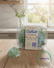 Alfalfa Sprouts-(100g)
